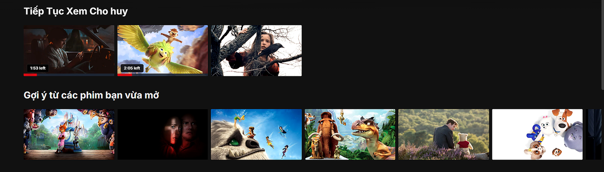Netflix Clone product view 8